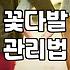 특별한 날 생화 꽃다발 준비할 때 알아두면 좋은 점들