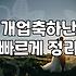 개업식 화분 고를 때 놓치기 쉬운 것들