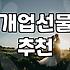 병원개업화분 선택 기준과 적절한 배치 관리법