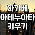 백 년에 한 번 핀다는 꽃 소리에 덜컥 들여온 아가베