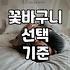 꽃바구니 선물, 사실은 이런 고민이 더 필요합니다