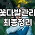 꽃다발 선물, 낭만보다는 현실적인 고려사항들