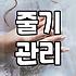 공간 분위기를 바꾸는 최적의 꽃화병 선택 기준과 관리 노하우