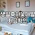 강남꽃도매상가에서 직접 만드는 꽃다발, 과연 돈과 시간을 아끼는 합리적인 선택일까?