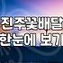 지역 꽃배달과 화환 주문 시 겪게 되는 현실적인 문제와 대처 방법