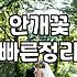 안개꽃 한 단을 다 다듬다가 손가락이 좀 얼얼해졌다