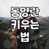 동양란 키우기 시작할 때 알아두면 좋은 점들