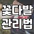 장미꽃다발 가격 결정 요인과 신선도 유지하는 관리법