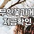 무인 꽃가게에서 덜컥 집어온 미니 화분의 정체