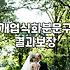승진이나 개업으로 화분을 보낼 때 알아두면 좋은 점들