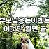 돈꽃다발 제작 시 현금 파손 방지 및 실질적인 예산 책정 방법