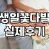 꽃다발생화 구매할 때 반드시 확인하는 가격과 신선도 기준