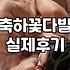 근처 꽃집에서 마주하는 현실, 꽃 선물은 정말 필요한가?