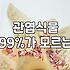 실패 없는 개업축하 화분 선택을 위한 전문가의 현실적인 가이드