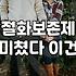 안개꽃 관리법과 화병에 오래 두는 구체적인 방법