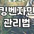 사무실이나 매장에 벤자민 화분을 놓을 때 알아두면 좋은 점