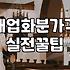 식당개업화분 적정 가격대와 관리가 쉬운 식물 선택법