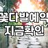 시들어버릴 낭만에 기꺼이 지불하는 비용에 대하여