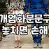 개업식 화분 보낼 때 리본 문구와 배치 고민 해결하기