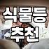실내 식물, 키우면서 느낀 현실적인 고민들: 이건 그냥 ‘식물’이 아니잖아요