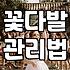 꽃다발 주문할 때 알아두면 좋은 실전 팁들