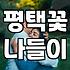평택꽃 나들이를 고민하는 직장인을 위한 지극히 현실적인 조언