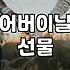 카네이션꽃다발 관리와 종류에 따른 신선도 유지 기준
