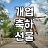 개업화분, 이거 진짜 괜찮은 건가요? 직접 경험한 솔직 후기