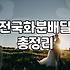 개업화분 종류별 가격대와 식물 관리 요령