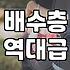 집에서 키우기 좋은 선인장종류 선택 기준과 실패하지 않는 관리법