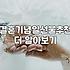 결혼기념일 꽃다발, 정말 매번 10만 원 넘게 들여야 할까?