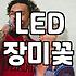장미 무드등, 낭만을 기대했다면 꼭 알아야 할 현실적인 이야기