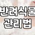 집안에 초록을 들이는 실내 식물 관리와 현실적인 고민들