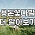 현금꽃다발 제작 시 현금 훼손 방지와 필수 준비물