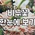 크리스마스꽃다발 가격 구성과 예약 시기