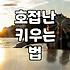 개업이나 승진 축하용 서양난, 오래 두고 관리하는 방법