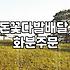 안중 꽃배달, 처음 보낸 후기: 생각보다 신경 쓸 게 많더라
