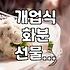 친구가 무인 빨래방을 열었다는데 화분만 열 개가 넘게 들어왔다
