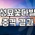 성묘 꽃다발, 생화냐 조화냐 고민하는 당신을 위한 현실적인 가이드