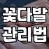 실패 없는 꽃다발 준비를 위한 소소한 팁과 현실적인 고려사항