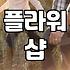 꽃바구니당일배달 신청 전 반드시 확인해야 할 현실적인 체크리스트