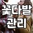 아침 일찍 문 여는 꽃집 찾다가 포기할 뻔한 이야기