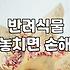 실패 없는 집들이선물화분 고르는 현실적인 기준