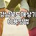 강남고속터미널 꽃시장 이용할 때 알아두면 좋은 점들