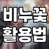 시들지 않는 비누꽃 활용과 관리법