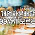 개업화분가격 결정 요소와 예산별 추천 품목 실전 가이드