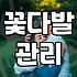 장미꽃100송이 준비할 때 알아야 할 현실적인 조언
