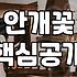 장미꽃 한 송이 가격, 따져보니 생각보다 복잡하네?