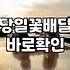 당일 꽃배달, 정말 3시간 안에 도착할까? 현직자의 솔직한 경험담