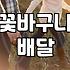 꽃바구니 배달, 굳이 비싼 돈 쓸 필요 없는 이유와 현실적인 팁